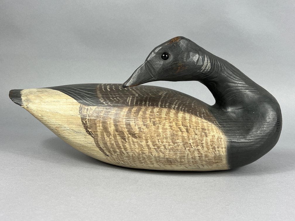 Brant by Tom Savage