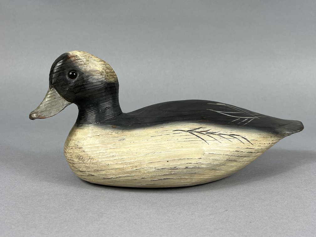 Bufflehead by Tom Savage