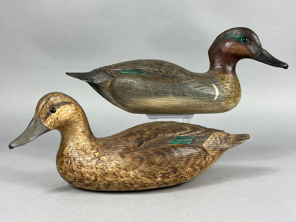 Green Wing Teal by Tom Savage