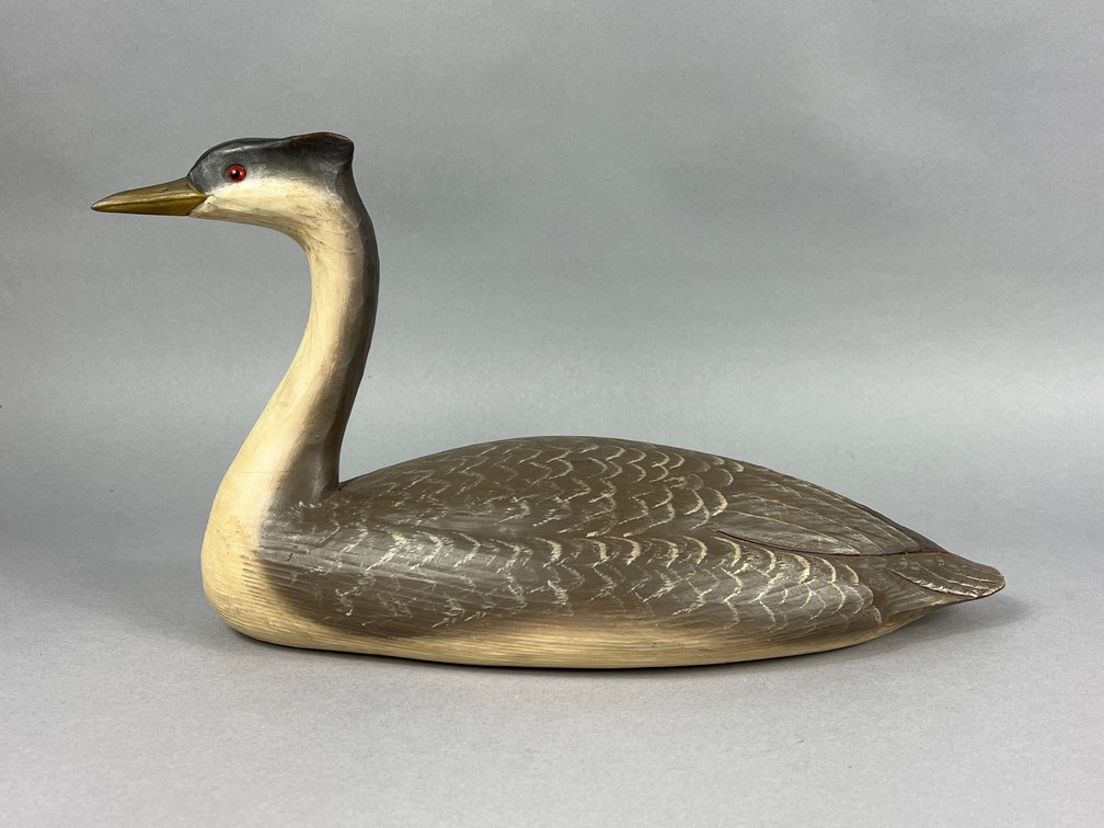 Western Grebe by Tom Savage