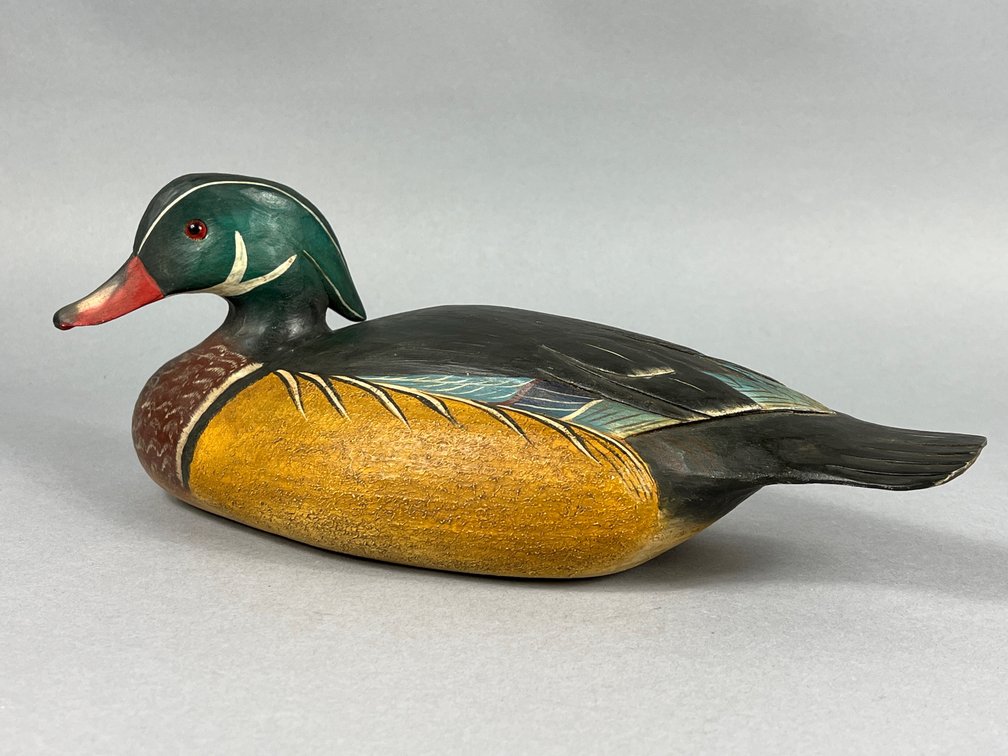 Wood Duck by Tom Savage