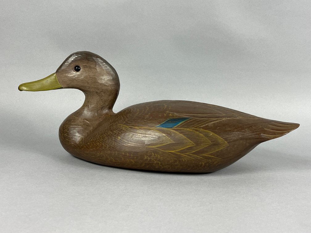 Black duck by Tom Savage