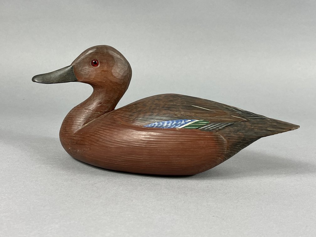 Cinnamon Teal by Tom Savage