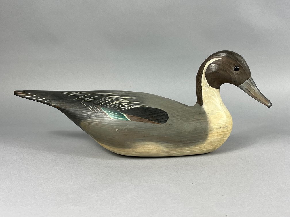 Pintail by Tom Savage