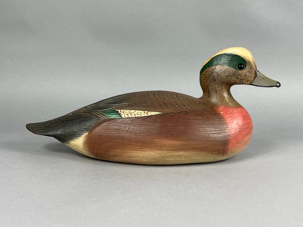 Widgeon by Tom Savage