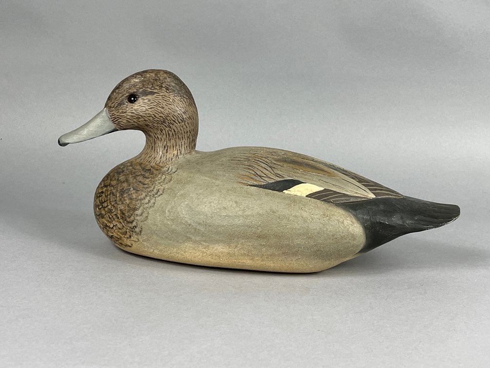 Gadwall by Tom Savage