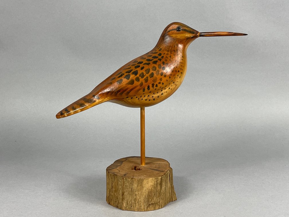 Red Knot by Earl Martz