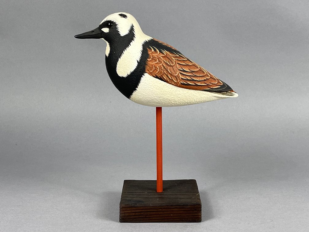 Ruddy Turnstone by Gary Lawrence