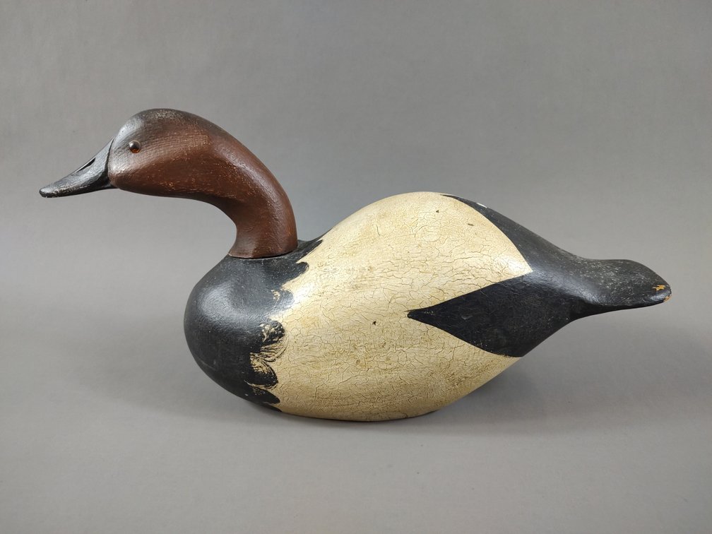 Canvasback by John A. Nelson