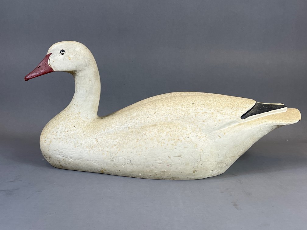 Snow Goose stamped CPI. 