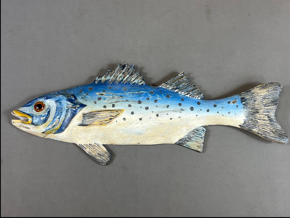 Spotted Sea Bass by Ed Kuhn