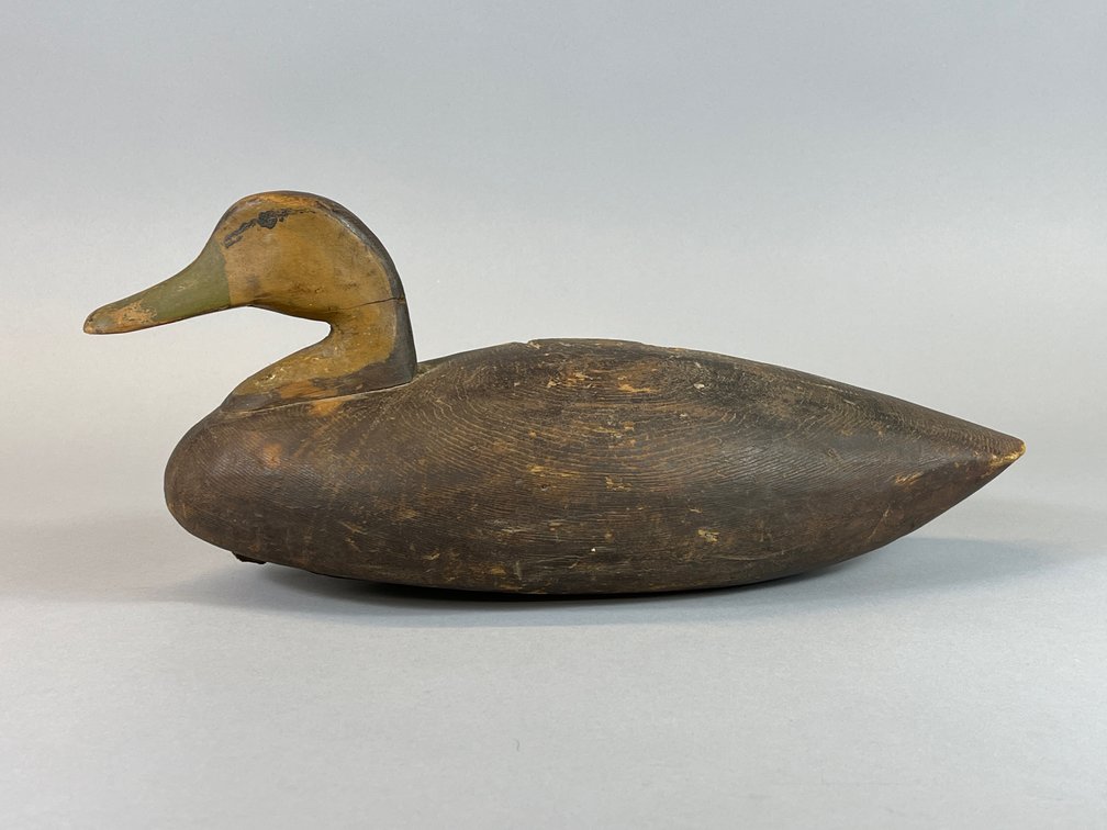 Black Duck by Ike Phillips 