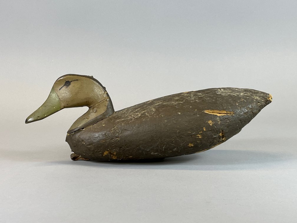Black Duck by Ike Phillips 