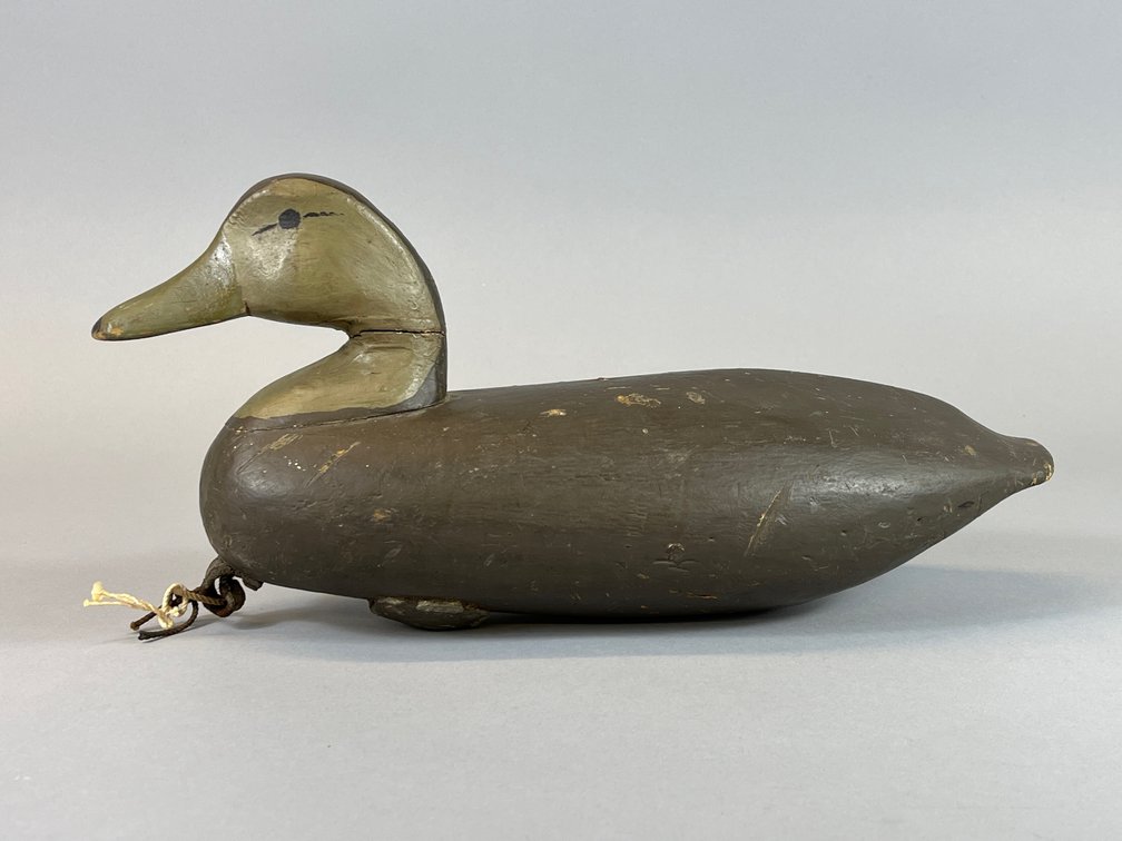 Black Duck by Ike Phillips 