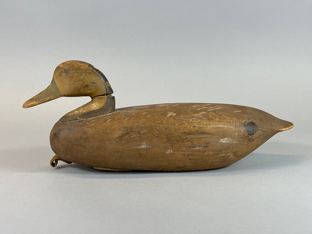 Black Duck by Ike Phillips 