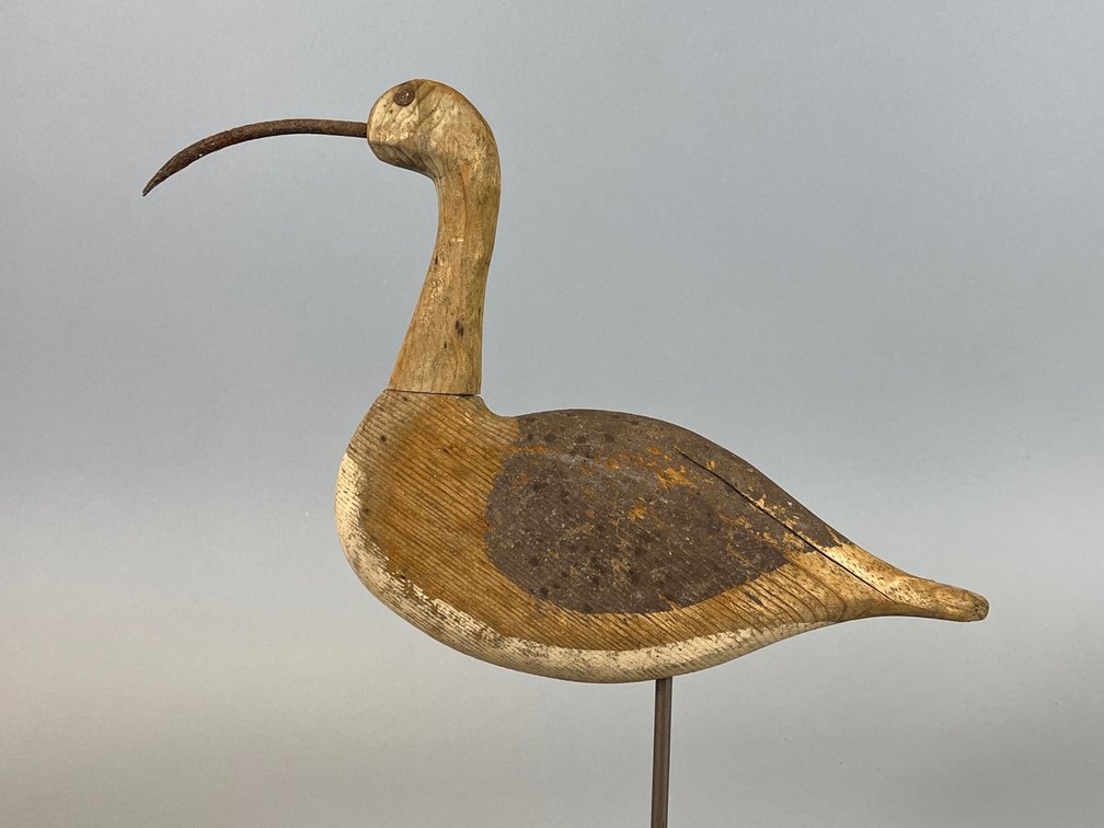 Curlew Unknown