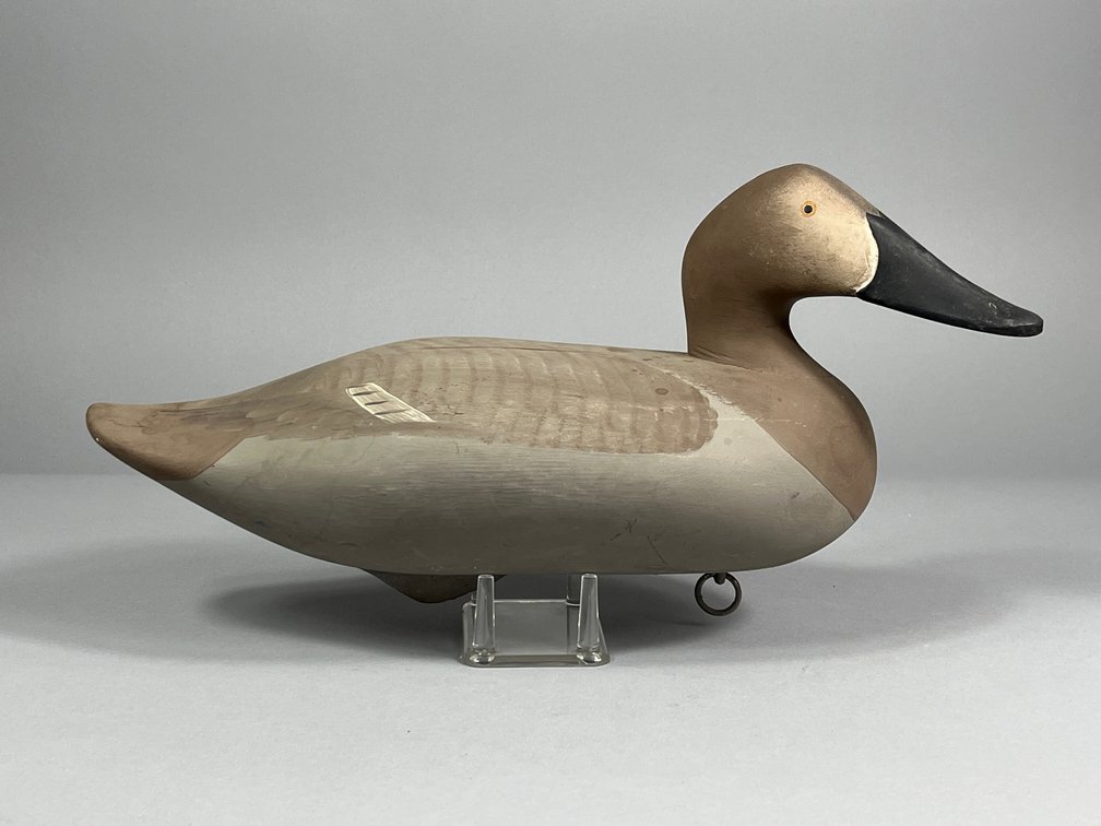 R Madison Mitchell, Canvasback, Havre de Grace, MD 