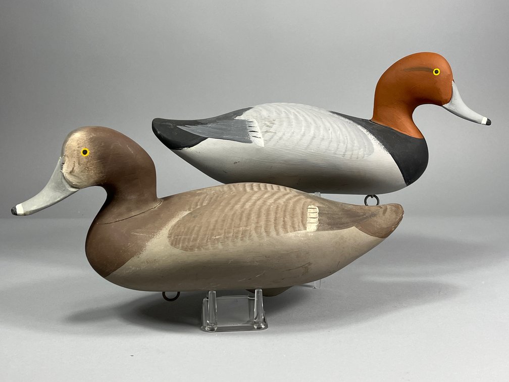 Jobes Family, Redhead Pair, Havre de Grace, MD