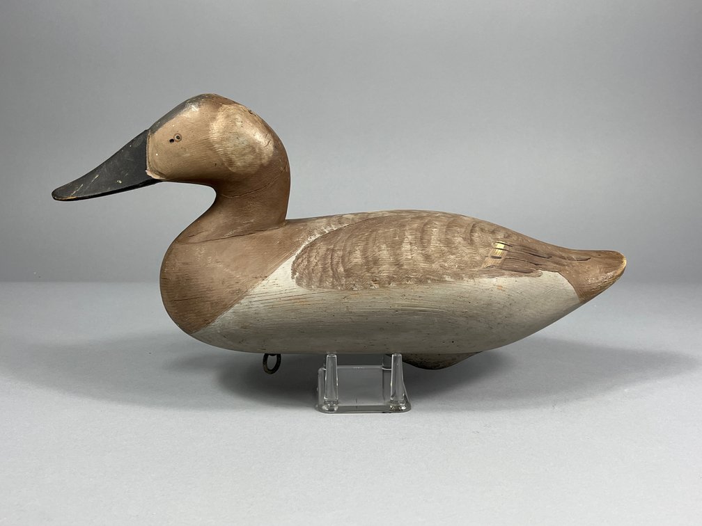 R Madison Mitchell, Canvasback, Havre de Grace, MD