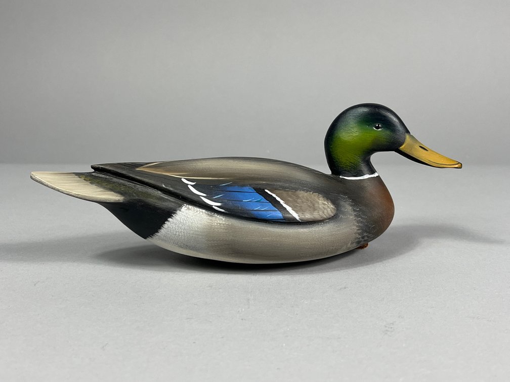 Sean Sutton, Mallard, Paulsboro, NJ