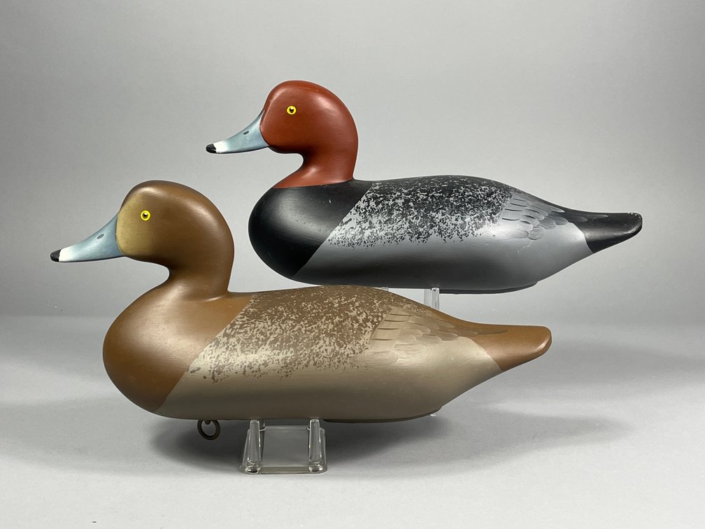 Charlie Bryan, Redhead Pair, Middle River, MD