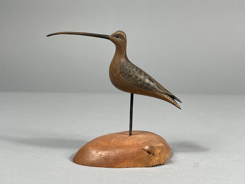W, Johnson, Long Billed Curlew