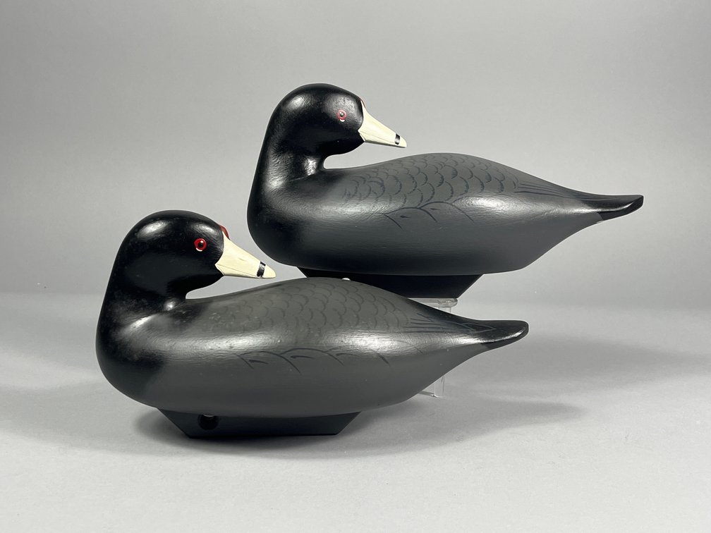 Charlie Bryan, Coot Pair, Middle River 