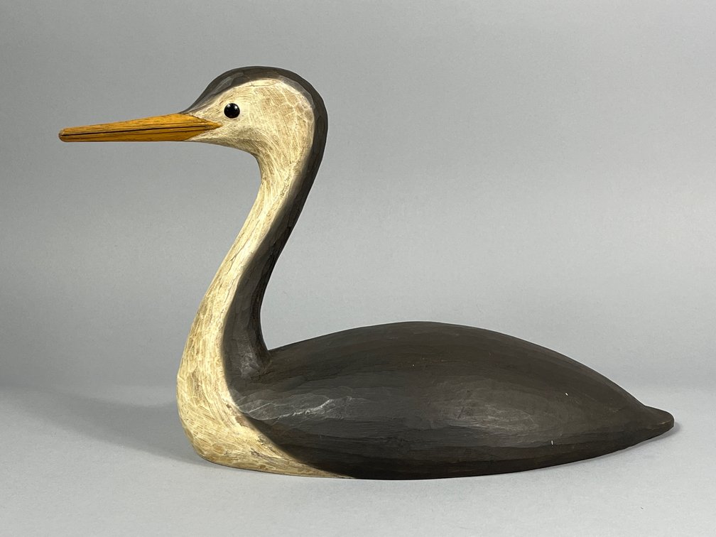 Kevin Thor Williams, Western Grebe