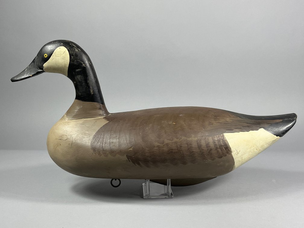R Madison Mitchell, Canada Goose, Havre de Grace, MD