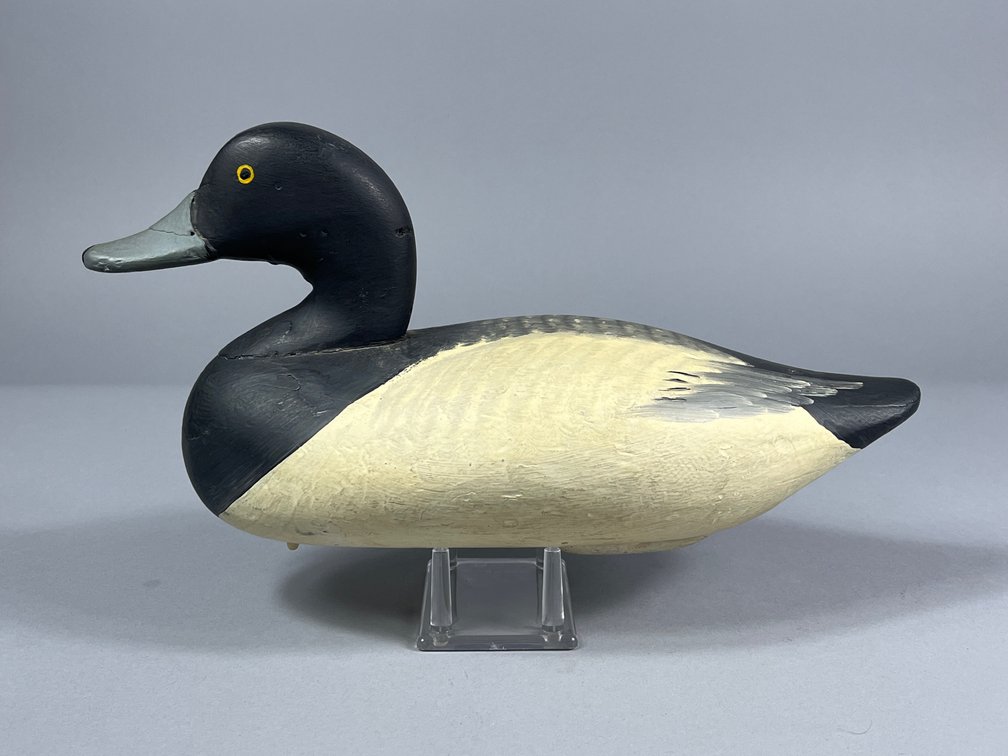 Paul Gibson, Bluebill, Havre de Grace, MD 
