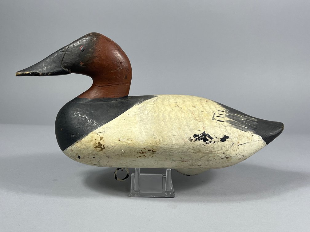 R Madison Mitchell, Canvasback, Havre de Grace, MD