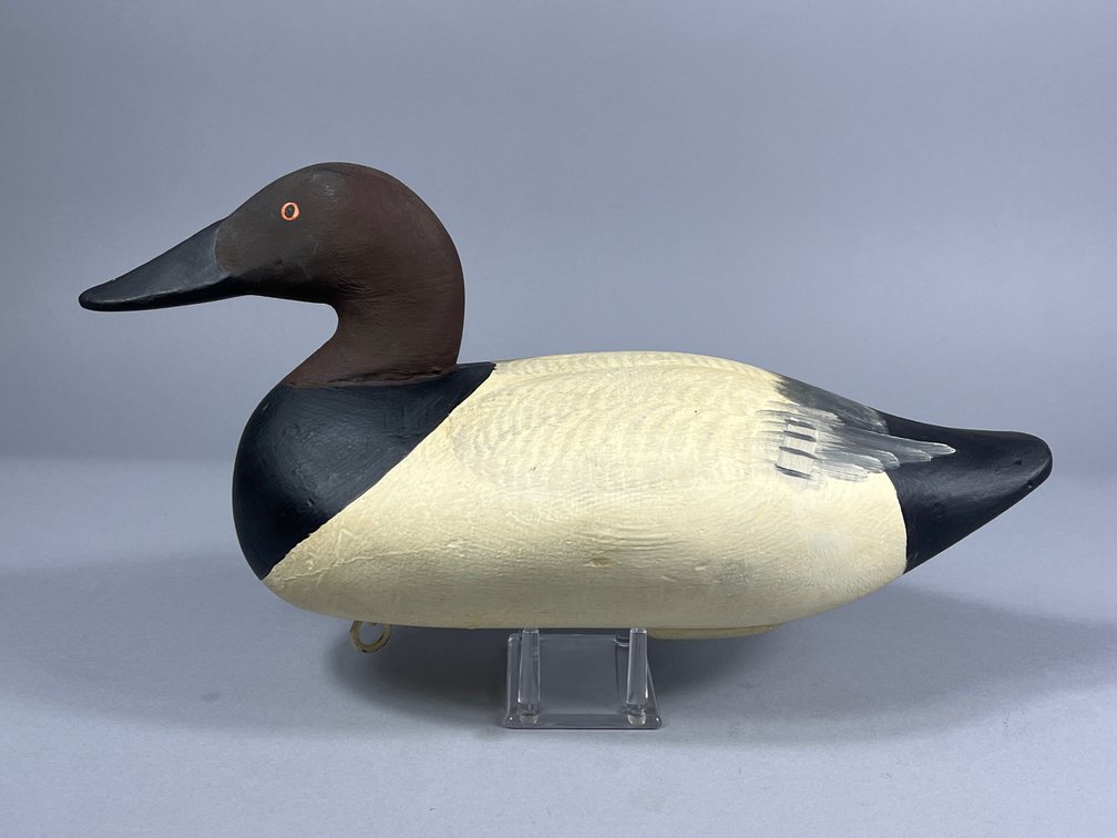 Paul Gibson, Canvasback, Havre de Grace, MD