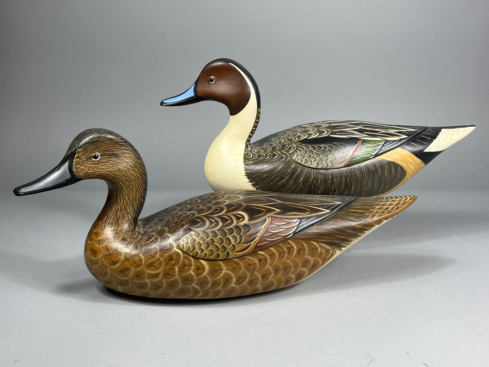Jode Hillman, Pintail Pair, Mullica Hill, Nj