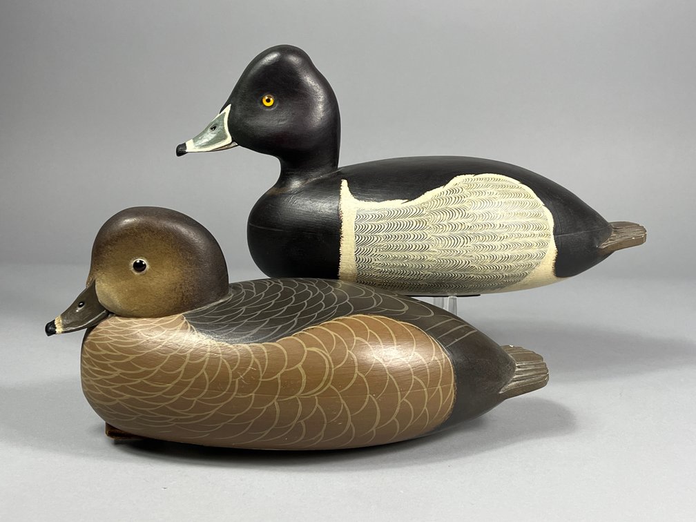 Ringneck Pair, Delaware River