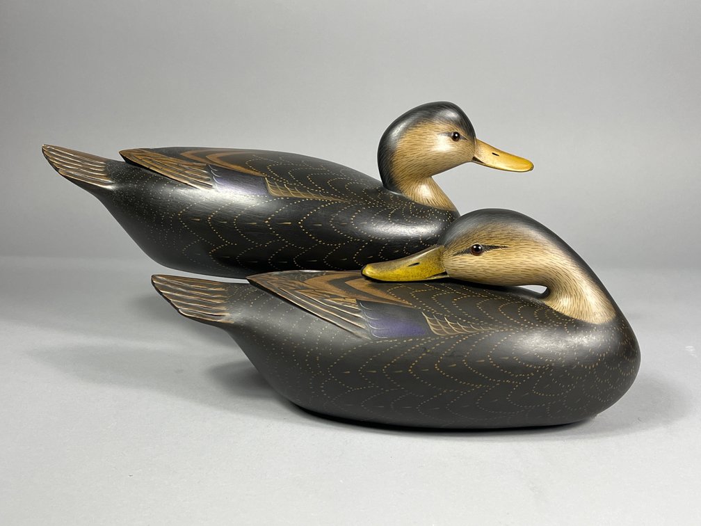Glenn Cooke, Black Duck Pair, Manasquan, NJ