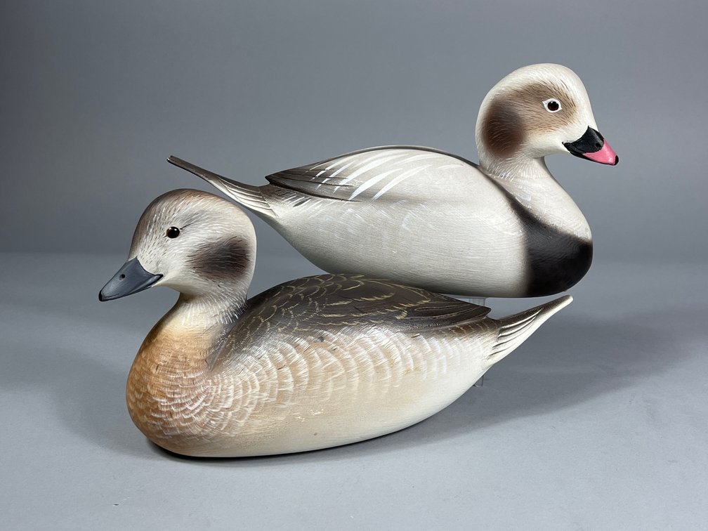 Herb Miller, Old Squaw Pair, Beach Haven, NJ