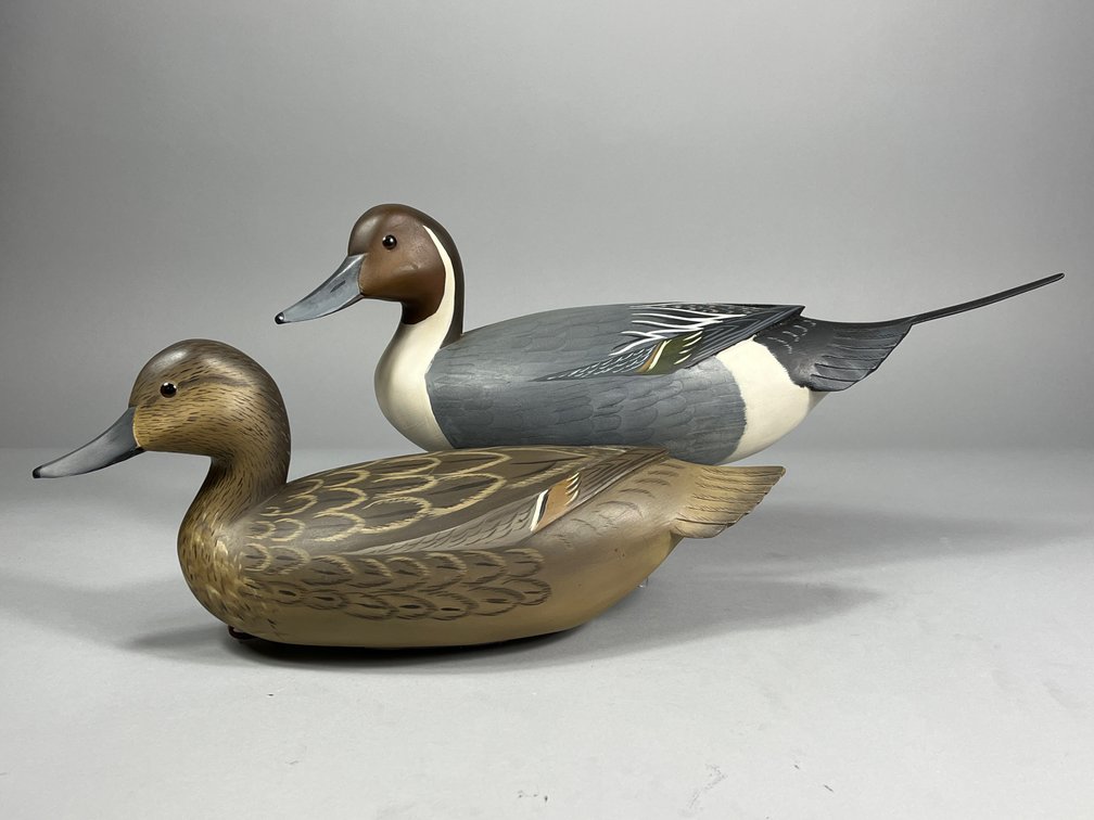 Kevin Wharton, Pintail Pair, Springfield, PA
