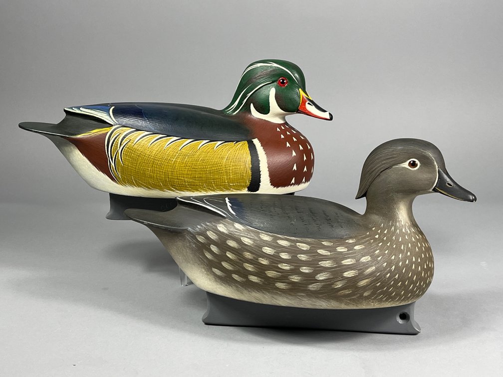 Phil Babe, Wood Duck Pair, East Tawes, MI