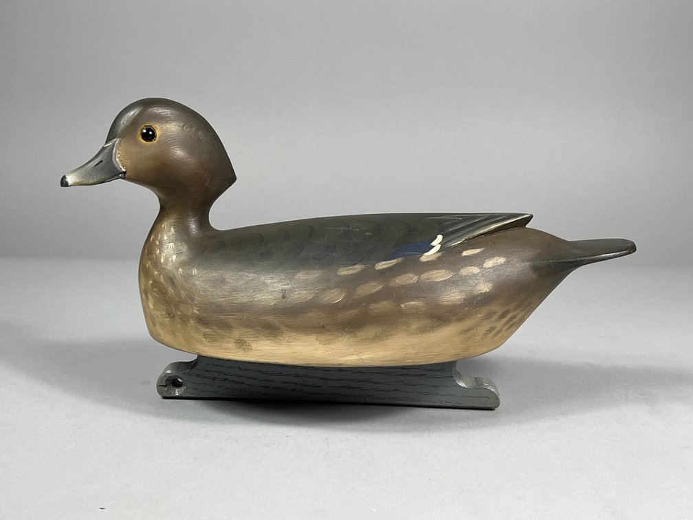Marty Hanson, Wood Duck Hen, Hayward, WI