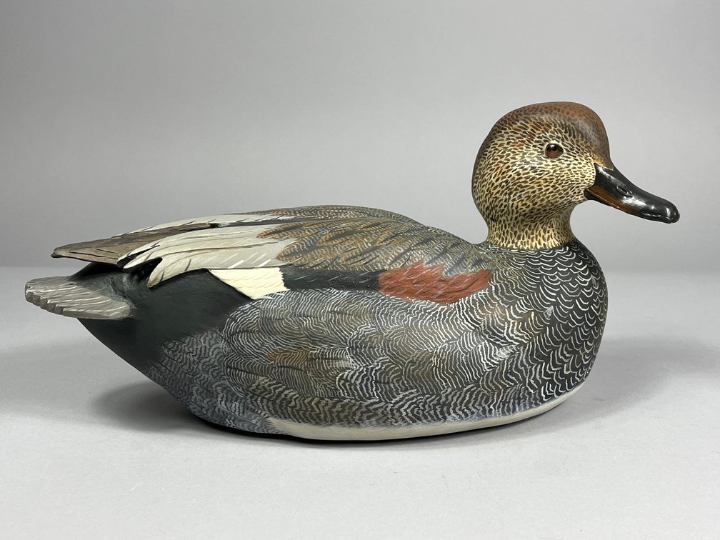 Robert Lewis, Gadwall, Eastpointe, MI