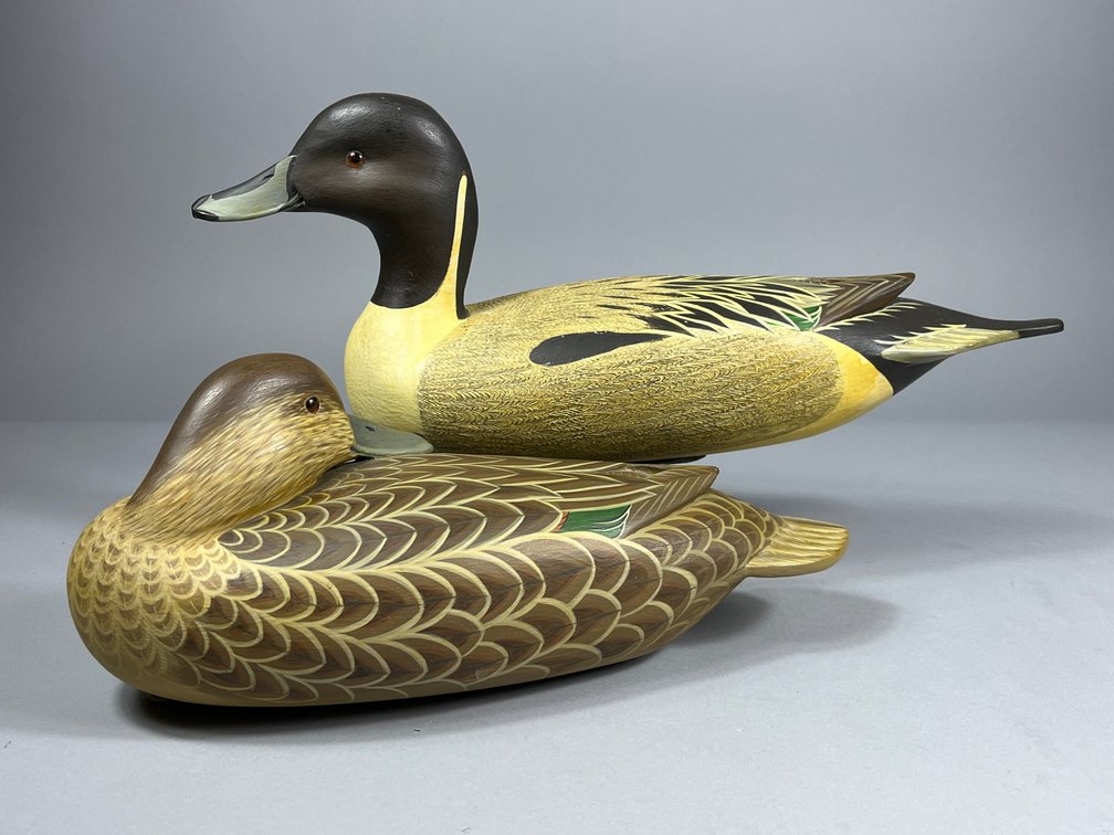 Forest Jennings, Pintail Pair, Shamong, NJ