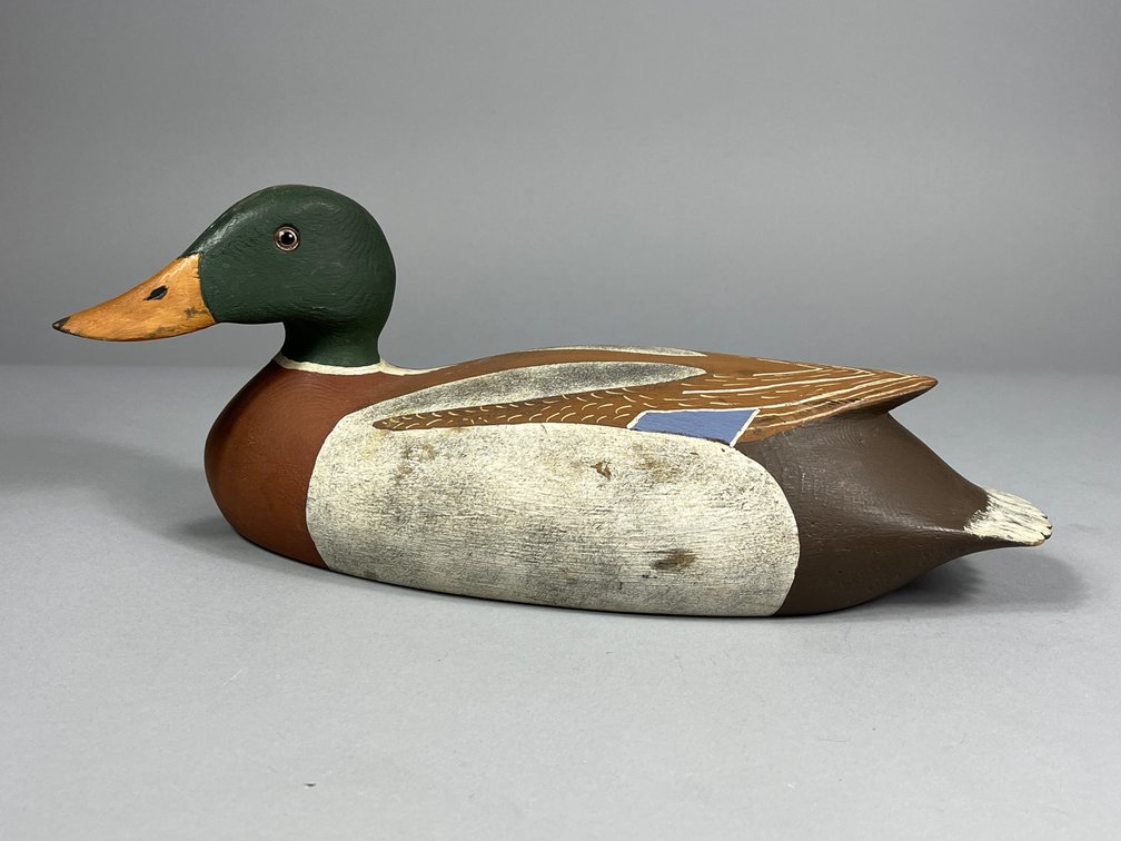 Ross Harmer, Mallard, Lyndhurst, ON 