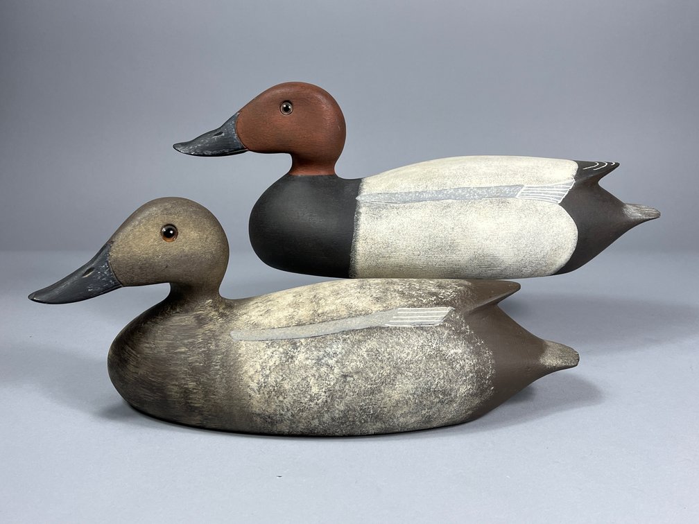 Ross Harmer, Canvasback Pair, Lyndhurst, ON