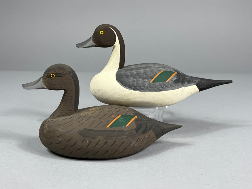 Urie family , Pintail Pair, Rock Hall, MD