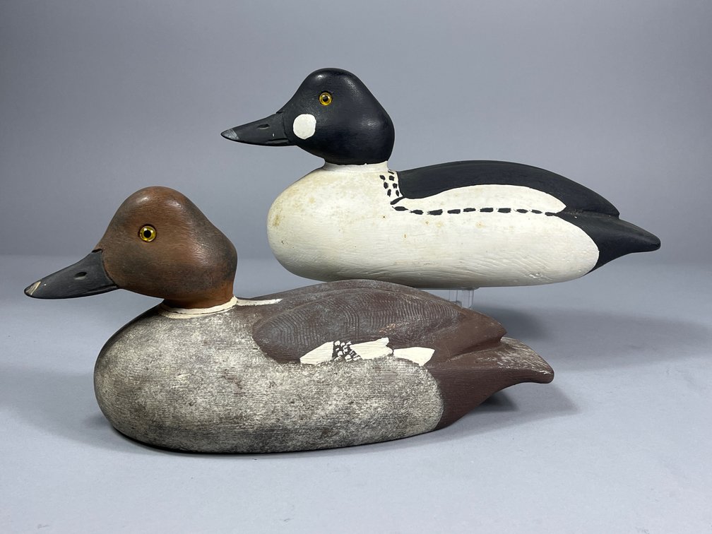 Ross Harmer, Goldeneye Pair, Lyndhurst, ON