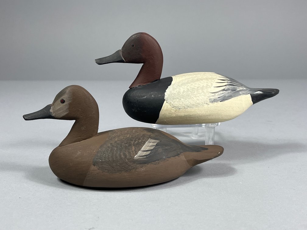Urie Family, Canvasback Pair, Rock Hall, MD