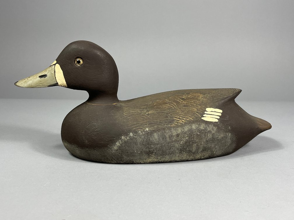 Ross Harmer, Bluebill, Lyndhurst, ON