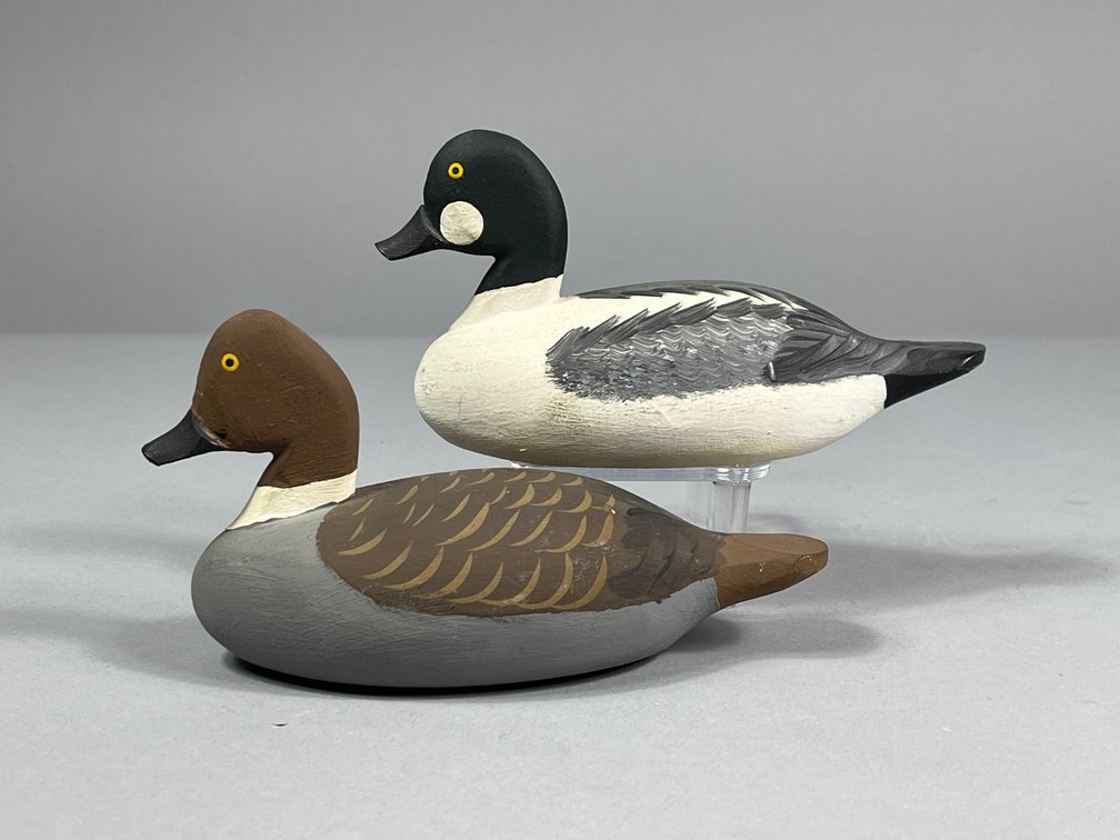 Urie Family, Goldeneye Pair, rock hall, MD