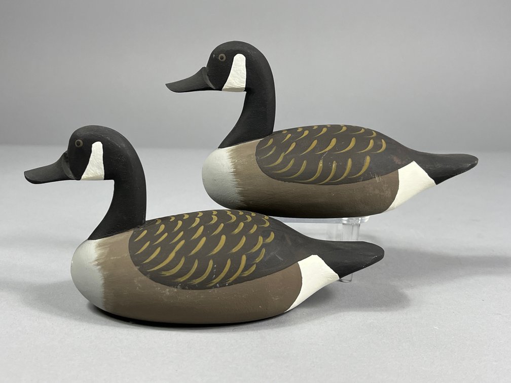 Roger Urie, Canada Geese, Rock Hall, MD