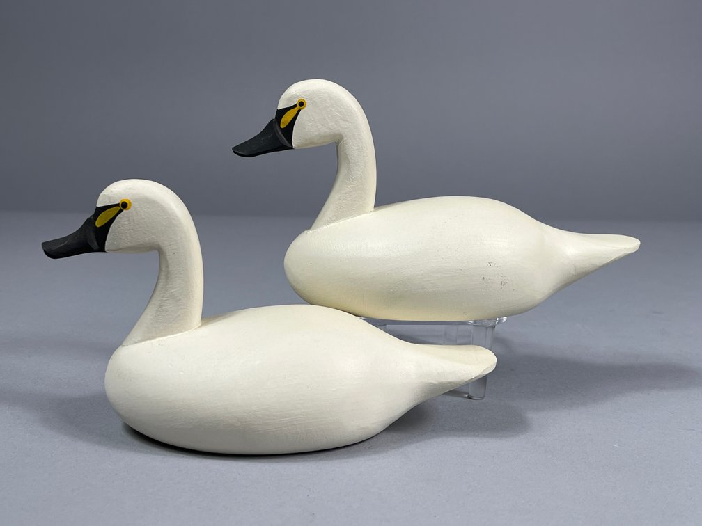 Roger Urie, Swan Pair, Rock Hall, MD